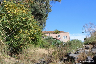 uccio-12-11-2023 10-37-10